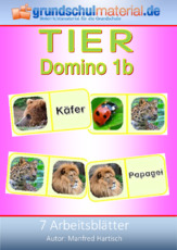 Tier-Domino_1b.pdf